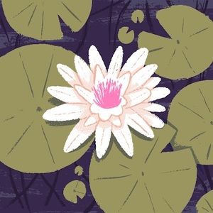 Meet your Posher, Alexandra